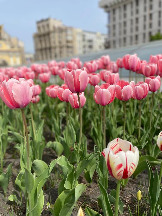 Apartment однокімнатні на майдані, дистанційне заселення 24х7